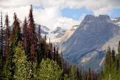 35 The President From Emerald Lake Road in Yoho.jpg